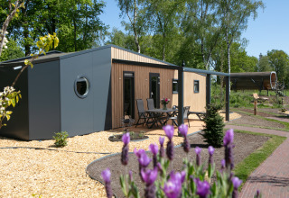 Moderna tiny house Forest lodge en Holiday Park 't Rheezerwold, Países Bajos, rodeada de vegetación.