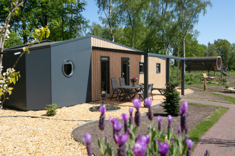 Moderne Forest lodge tiny house in vakantiepark 't Rheezerwold, Nederland, te midden van het groen.
