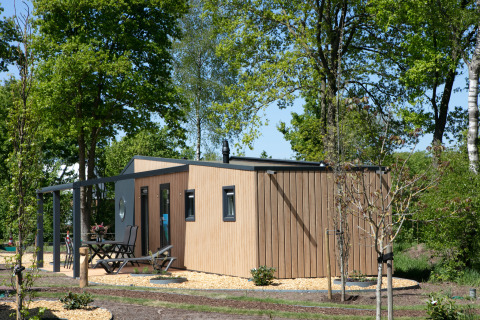 Casa pequeña Forest Lodge en Holiday Park 't Rheezerwold, Países Bajos, rodeada de vegetación y árboles.