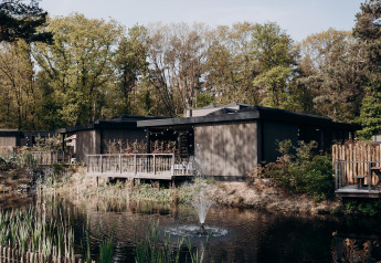 Acogedoras cabañas junto a un estanque con fuente, rodeadas de bosque frondoso y altos árboles