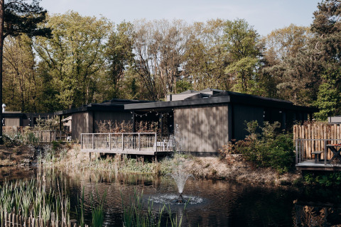 Cozy lodges beside a pond with a fountain, surrounded by lush forest and tall trees in the background