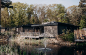 Cozy lodges beside a pond with a fountain, surrounded by lush forest and tall trees in the background