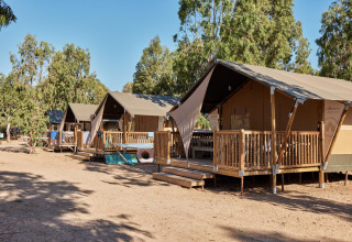 Fila de tiendas de lujo con terrazas de madera en el alojamiento glamping Villatent Outback, entre árboles.