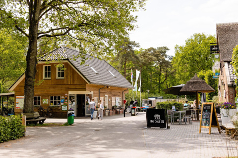Foto van het campinggedeelte bij de Luna Lodge safaritent op Camping de Noetselerberg, Nederland, in het groen.