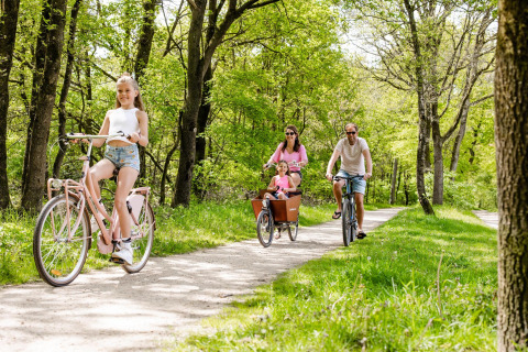 Family cycling along a forest path at Luna Lodge, Camping the Noetselerberg, Netherlands on a sunny day.