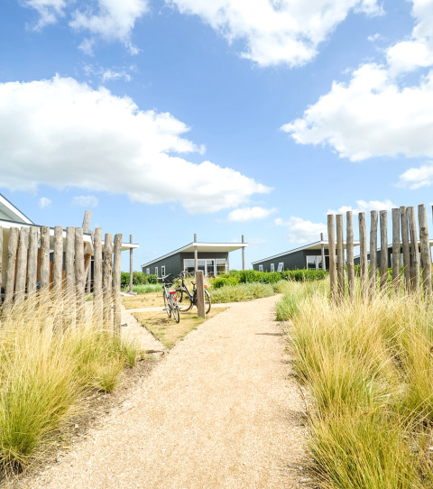 Camino hacia Comfort Lodge en Kompas Camping Nieuwpoort, Bélgica, rodeado de césped y cielo azul.