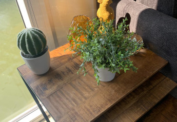 Et lille bord med en kaktus, en grøn plante og dekorationer ved et vindue på en husbåd i Amsterdam.