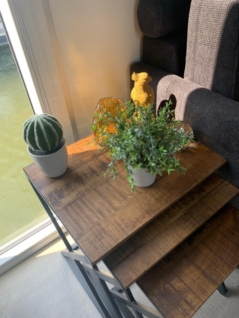 Een klein tafeltje met een cactus, groene plant en decoraties bij een raam op een woonboot in Amsterdam.