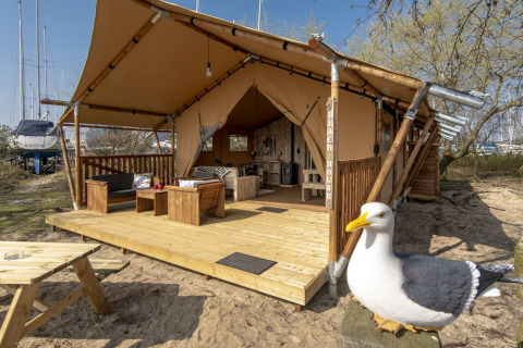Safari lodge XL-tent bij Marina Parcs Almere, Nederland, met houten terras, zitplaatsen en meeuw.