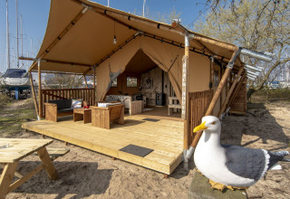 Tienda Safari Lodge XL en Marina Parcs Almere, Países Bajos, con terraza de madera y figura de gaviota.