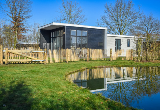 Lodge nel bosco moderna con giardino recintato e stagno, circondata da alberi e cielo azzurro.