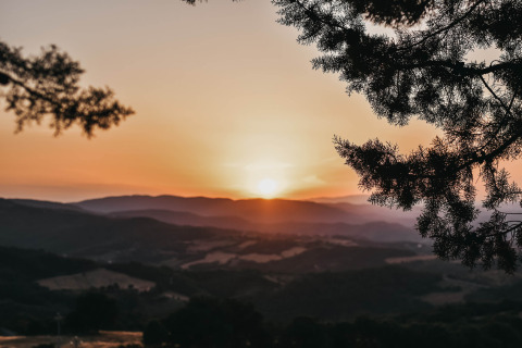 Atardecer sobre colinas onduladas, visto entre ramas de pino en Camping Luna del Monte en Umbría, Italia.
