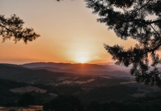 Tramonto sulle colline, visto tra rami di pino al Camping Luna del Monte in Umbria, Italia.