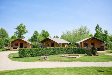 Safari tents at Villatent Nomad in Camping Betuwestrand, Netherlands, surrounded by trees on a clear day.