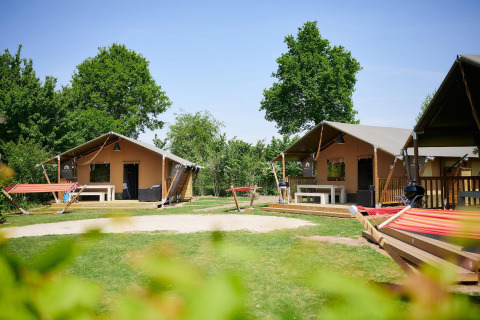 Tiendas safari en Villatent Nomad en Camping Betuwestrand, Países Bajos, rodeadas de naturaleza verde.