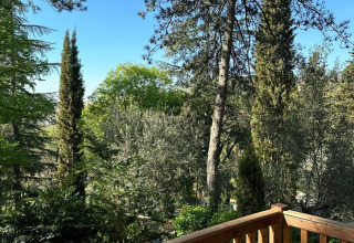 Udsigt fra safari-teltet Villatent Wood på Camping Colleverde i Italien, med træer og blå himmel.