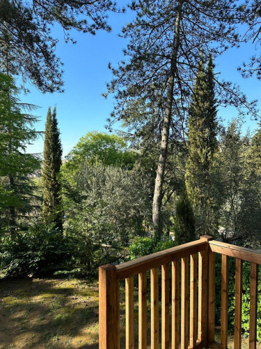 View from the Villatent Wood safari tent at Camping Colleverde in Italy, showing trees and blue sky.