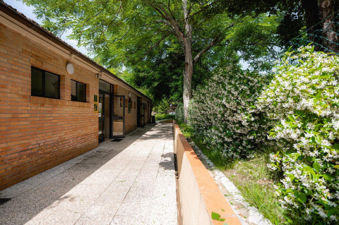 Sendero junto a edificio de ladrillo y arbustos en flor en Villatent Wood, Camping Colleverde, Italia.