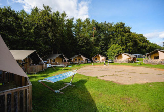 Tiendas tipo safari y hamacas en Camping La Colline, Bélgica, rodeadas de vegetación y bosque trasero.