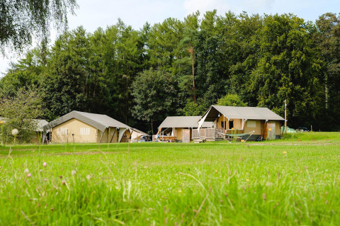 Tiendas safari en Camping La Colline en Bélgica, rodeadas de prados verdes y un fondo de árboles frondosos.