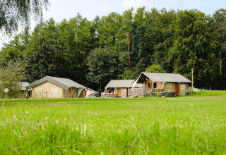 Tiendas safari en Camping La Colline en Bélgica, rodeadas de prados verdes y un fondo de árboles frondosos.